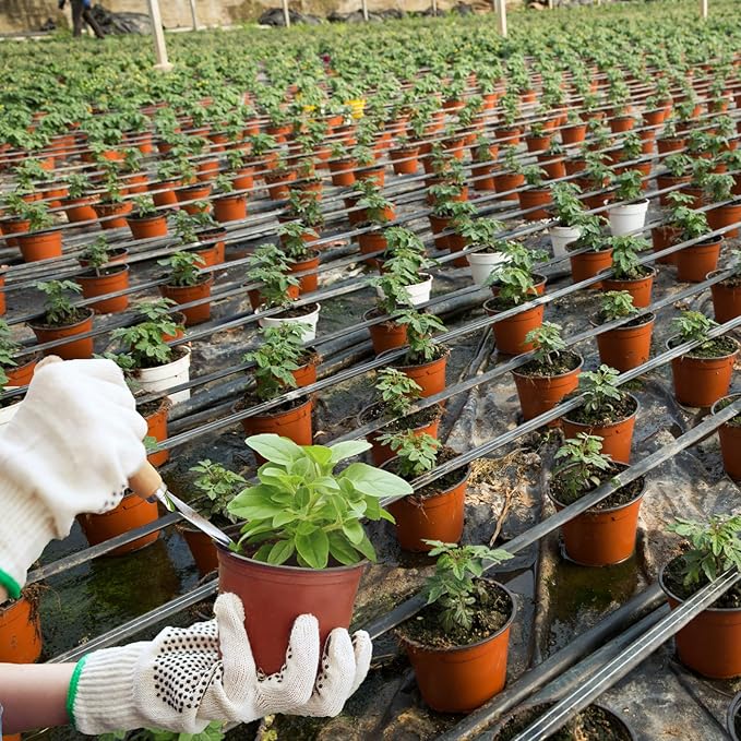 600 Pcs 6 Inch Plant Nursery Pots Bulk Plastic Pots Plants Seed Starting Pots Garden Pots with Drainage Holes for Plants Succulents Seedlings Cuttings Transplanting (600, 6 Inch)
