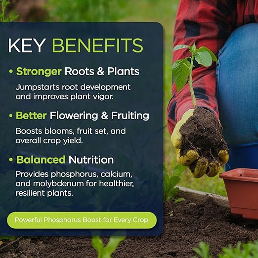 Supply Solutions | 0-45-0 Triple Superphosphate with 13.5% Calcium | High Phosphorus Bloom Booster Fertilizer for Indoor Plants, Flowers, Orchids, Citrus, Lawns, Vegetables & Fruit Trees (10 Pounds)