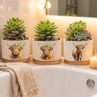 Highland Cow Planters for Indoor Plants – 1350°C Kiln-Fired Fine Ceramic Succulent Planter Set of 3, Cute Animal Pots for Room, Bathroom, Yoga, Meditation Decor (No Plant Included)