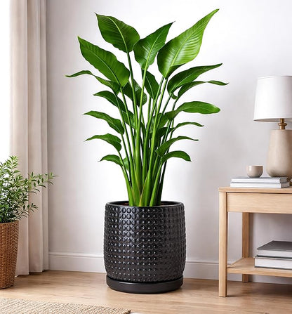 D'vine Dev 10 Inch Ceramic Beaded Stoneware Planter Pot - Flower Pot with Drainage Holes and Saucers for Indoor Succulent Plants or Flowers, Ebony Matte, 27-C-P-6