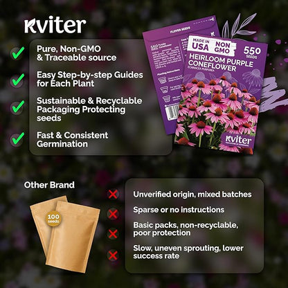 KVITER 550 Purple Coneflower Seeds (Echinacea Purpurea) – Echinacea Herb Flower Seeds For Planting, Medicinal Wild Flower Seed Packets – Wildflower Pollinator for Home Garden, Containers, Flowers Beds