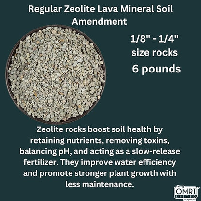 Zeolite Rocks Regular Size 12 Pounds 2 x 6 lb Bags for Succulents Bonsai Trees Odor Control and Soil Drainage