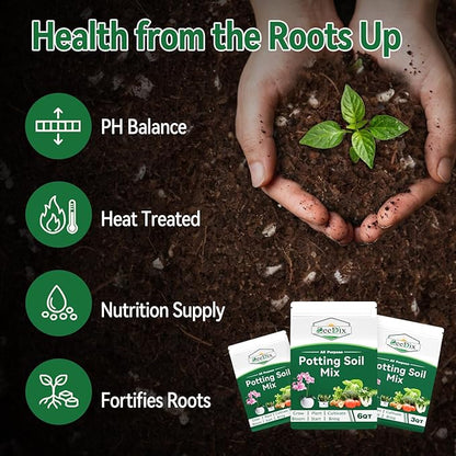 Zeedix Potting Soil Mix for Indoor Houseplant, Include Perlite, Compost, Peat Moss, Coco Coir and Vermiculite, Well Draining Potting Mix, Promote Healthy Root Development and Faster Plant Growth, 1qt