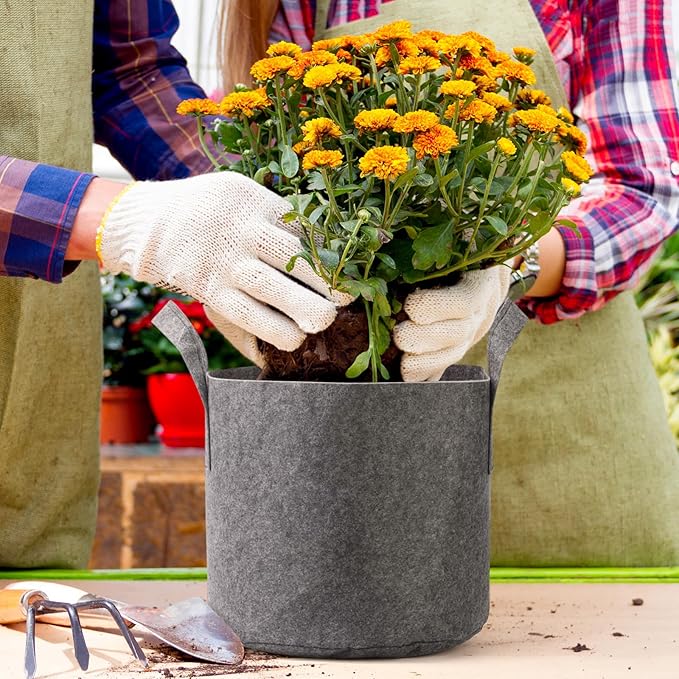 Delxo 3 Gallon Grow Bags 12 Pack, Heavy Duty Thickened Nonwoven Fabric Pots for Plants, Ideal for Container Gardening, Durable & Lightweight Planting Bags, Perfect for Vegetables, Grey