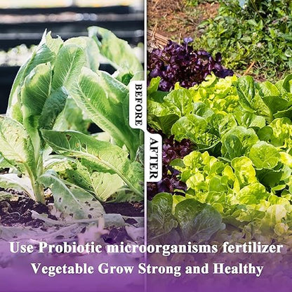 10oz Organic Vegetable Probiotic Fertilizer – Natural Microbial Plant Nutrient Solution for All Vegetables, Promotes Green Leaves, Strong Roots & Healthy Growth