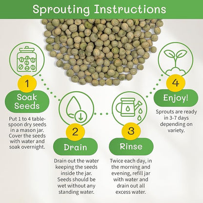 The Sprout House Green Peas - Organic Green Peas for Sprouting or Cooking, High Germination, Non-GMO, Resealable Bag for Freshness, Perfect for Salads, Shoots, & Healthy Recipes, 1LB Green Pea Seeds