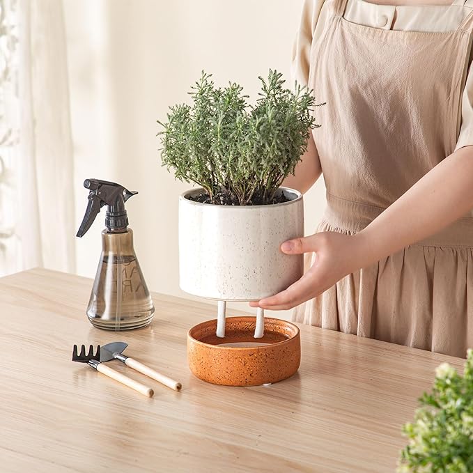 Self Watering Plant Pot: 6 Inch Ceramic Planter with Drainage Hole & Water Storage Plus - Flower Pot for Indoor & Outdoor Plants (Retro Grey, Small)