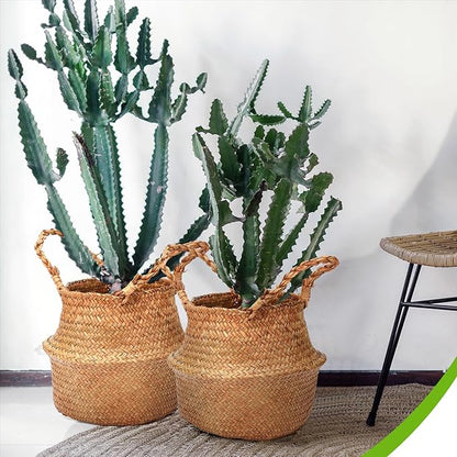 Qunclay 4 Pcs Woven Seagrass Baskets Belly Basket Folding Boho Natural Plant Pot with Handles Round Decorative Wicker Large Indoor Planter for Home Outdoor Tree Planters Decor (S,8.7''dx7.9''h)