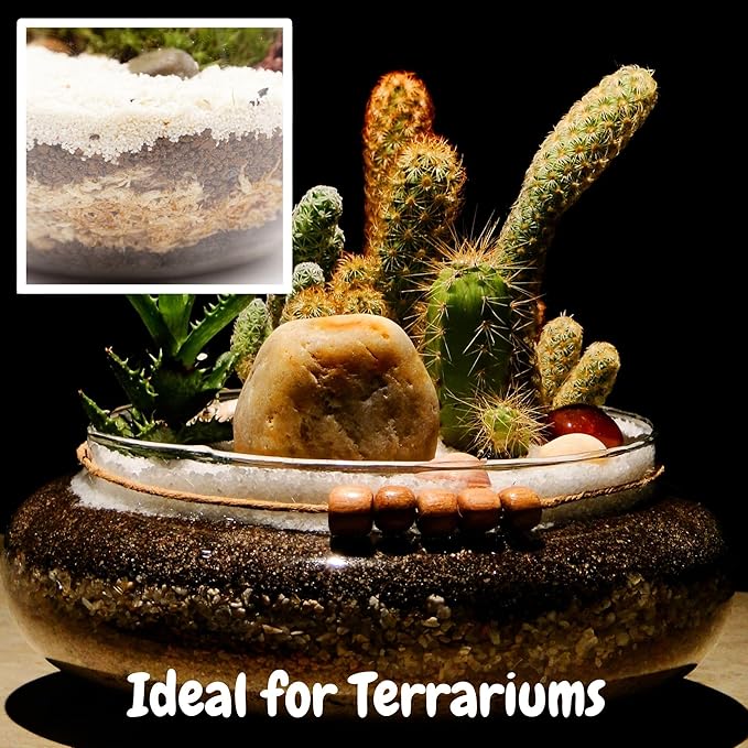 Soil Sunrise Sphagnum Moss Potting Mix (1 Quart) for Carnivorous Plants: Blend of Dried Moss with Perlite