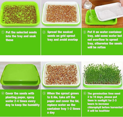 Legigo 5 Pack Seed Sprouter Trays with Lids- Soil-Free Cultivation Germination Tray, BPA Free Micro Greens Growing Trays Seed Sprouting Trays Kit with Germinating Paper for Wheatgrass, Beans and More