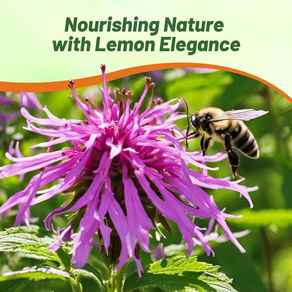 Outsidepride Lemon Bee Balm Seeds - 1 lb. Annual, Easy to Grow & Pollinator Friendly Monarda Citriodora Flower Seeds for Planting Fragrant Lavender Pink Blooms, Ideal for Teas & Potpourri