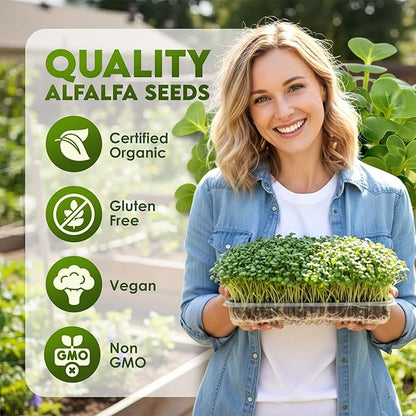 Nature Jims Sprouts Alfalfa Seeds – Non-GMO Organic Sprout Growing Kit for Planting – Premium Resealable Bag for Fresh Homegrown Sprouting Seeds – Rich in Nutrients, Vitamins, Fiber & Minerals – 16oz