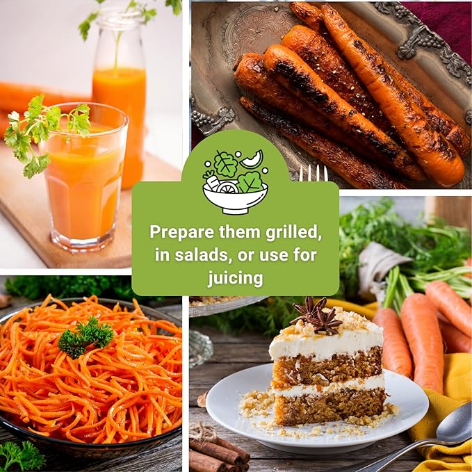 Sow Right Seeds - Carrot Seed Collection for Planting - Rainbow, Nantes, Imperator, Parisian and Kuroda Varieties - Non-GMO Heirloom Packet - Plant and Grow Your Outdoor Home Vegetable Garden