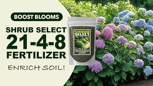 Fertilizer Commercial Grade | Shrub Select 21-4-8 | 1 Pound | Custom Two-Stage Professional Mix Blend | Long-Term Controlled Release Feed | Shrubs & Tropical Ornamentals | 5-6 Month | Micronutrients