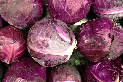 Red Acre Cabbage Seeds for Planting – Plant & Grow Heirloom Red Acre Cabbage in Home Outdoor Vegetable Garden, Brassica oleracea VAR. capitata– 5 Packets