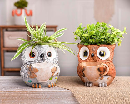 Unique Owl Plant Pots Indoor, Cute Small Succulent Pots with Drainage Hole, Watering Owl Planters for Indoor Outdoor Plants, Resin Flower Pot for String of Pearls, Gift Ideas for Mother