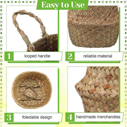 Qunclay 4 Pcs Woven Seagrass Baskets Belly Basket Folding Boho Natural Plant Pot with Handles Round Decorative Wicker Large Indoor Planter for Home Outdoor Tree Planters Decor (XXS,6.3''dx5.5''h)