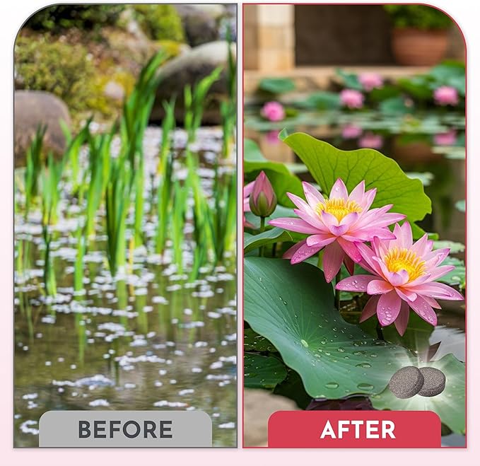 Aquatic Plant Fertilizer for Water Lily and Lotus,Water Lily Fertilizer Tablets-Fish Friendly,LotusFertilizer- Supports Lily and Lotus Blooming & Root Growth,Pond PlantFertilizer-100 Tablets