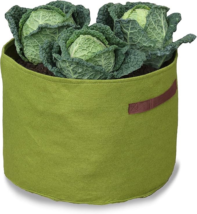 Tierra Garden 50-VIG13 Haxnicks Vigoroot Vegetable Planter