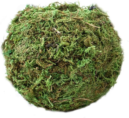 SuperMoss (29348) Kokedama Planter, 6", Fresh Green