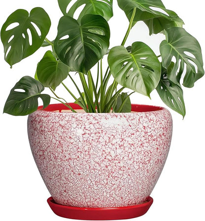 Ceramic Planter for Plants - 8 Inch Plant Pot Indoor with Drainage Hole and Tray, Round Flower Pots for Indoor Outdoor, Modern Planter, Home Decor, Gifts for Plant Lovers, Crackle Red