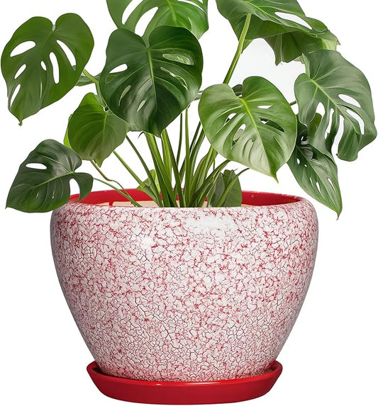 Ceramic Planter for Plants - 8 Inch Plant Pot Indoor with Drainage Hole and Tray, Round Flower Pots for Indoor Outdoor, Modern Planter, Home Decor, Gifts for Plant Lovers, Crackle Red