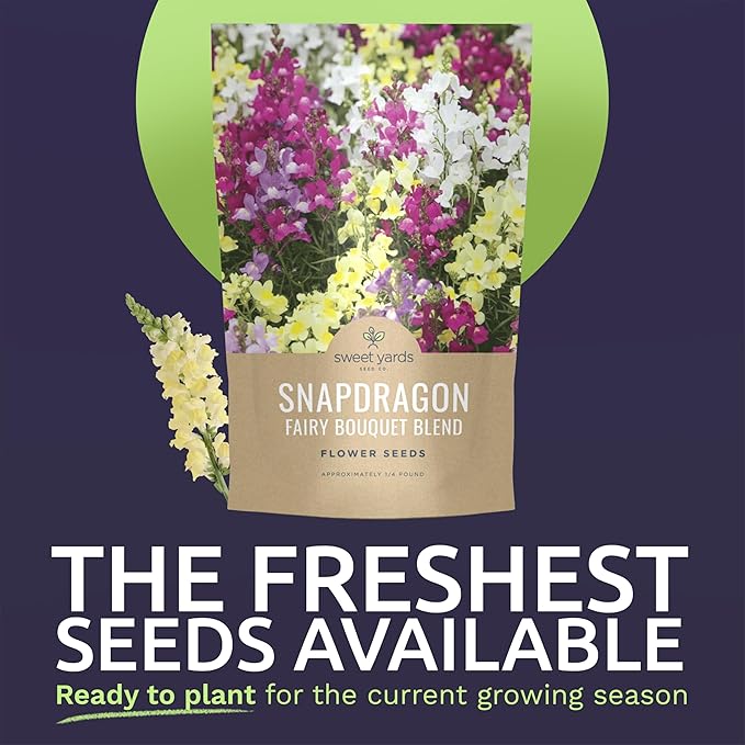 Snapdragon Fairy Bouquet Blend – Large 4 Ounces Seed Packet – 1,600,000 Flower Seeds for Planting – Lineria