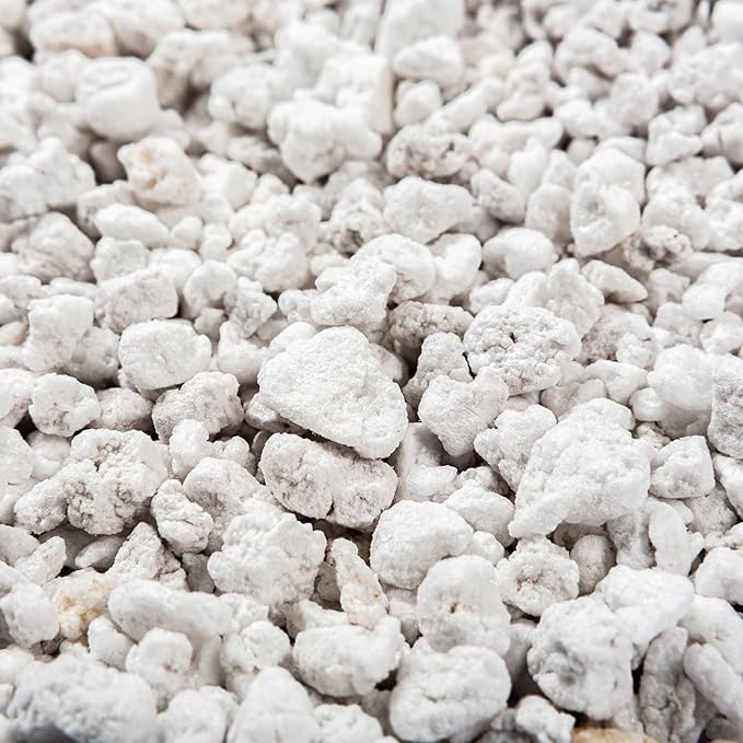 Perlite Bliss (1 Cubic Ft) - Organic Perlite for Plants Indoor Soil Amendment - Bulk Perlite for Gardening & Seed Starting - Mixes Easily with Potting Soil, Vermiculite, & Coco Coir for Plants