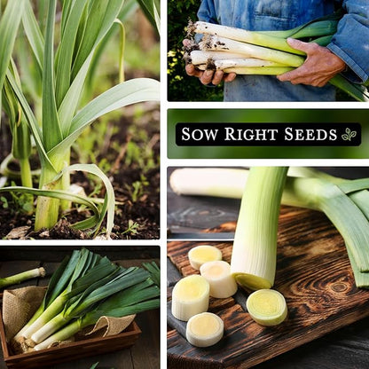 Sow Right Seeds - Giant Leek Seeds for Planting - Non-GMO Heirloom Packet with Instructions to Plant and Grow an Outdoor Home Vegetable Garden - Large Green Chive Onion - Cook Asian Cuisine (3)