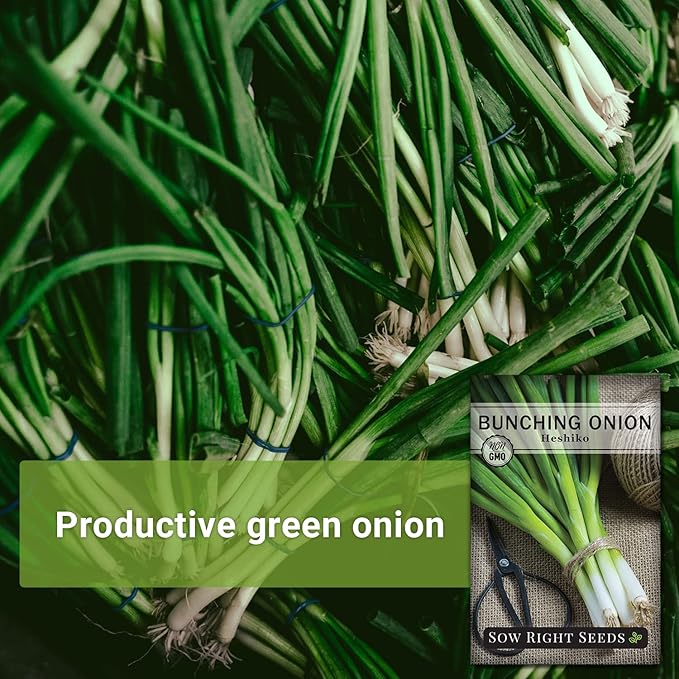 Sow Right Seeds - Heshiko Japanese Bunching Green Onion Seeds for Planting - Non-GMO Heirloom - Instructions to Plant and Grow a Kitchen Garden Indoors or Outdoors - Mild Onion Flavor for Cooking (3)