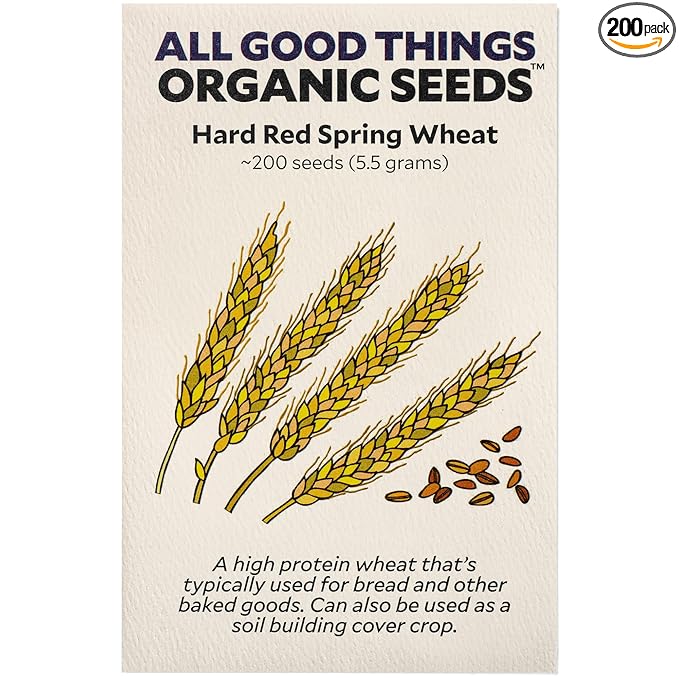All Good Things Organic Seeds Hard Red Spring Wheat Seeds for Planting: High Protein Heirloom Grain, Light Brown Kernels - 200 Seed Packet