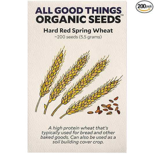 All Good Things Organic Seeds Hard Red Spring Wheat Seeds for Planting: High Protein Heirloom Grain, Light Brown Kernels - 200 Seed Packet