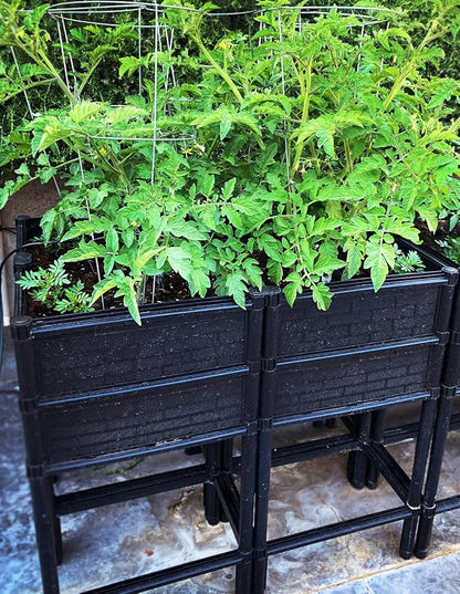 Elevated Raised Garden Bed with Legs 14" Depth Planter Box | Non-Toxic Sun Protected Material | 36" L X 24" W X 27" H for Easy Planting | Vegetable & Herb Backyard Patio