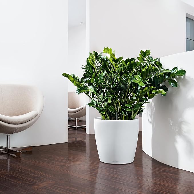 Lechuza 13210 Classico 35 Self-Watering Planter for Indoor and Outdoor Use, 14" x 14" x 13", White Matte