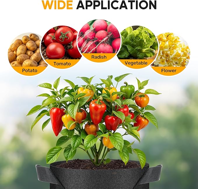 HealSmart 5 Gallon 6-Pack Nonwoven Grow Bags, Aeration Fabric Pots with Handles, Suitable for Garden Fruits, Vegetables and Flowers, Black