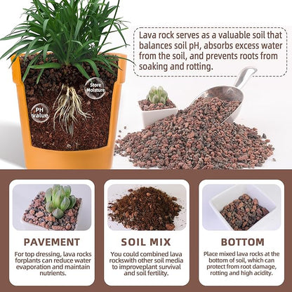 CJGQ 18lb Mix Lava Rocks for Plants - Horticultural Volcanic Rock Gravel for Landscaping, Succulents, Bonsai, Vase Fillers, Terrarium Plants, Top Dressing