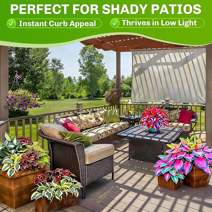 Hosta Seeds 400+ Pcs - Colorful Mixed Shade - Loving Perennial Flower Seeds for Planting, Beautiful Foliage Plants for Garden Borders, Shade Gardens & Containers, Easy to Grow