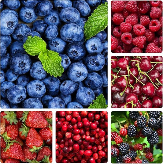 1500Pcs Mix Fruit Seeds for Planting-6 Varieties Including 400 Strawberry 200 Blueberry 300 Raspberry 300 Mulberry 200 Cranberry and 20 Cherry