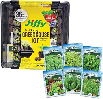 Jiffy Plant Germination Kit - Seed Starter Tray with Lettuce Seeds, 36 Cell, 2 Pack - Plastic