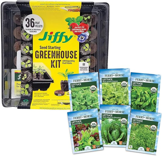 Jiffy Plant Germination Kit - Seed Starter Tray with Lettuce Seeds, 36 Cell, 2 Pack - Plastic