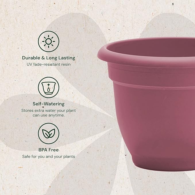 Bloem Ariana 10" Dusty Rose Round Self-Watering Resin Planter Pot - Rolled Rim Indoor and Outdoor Gardening Planter