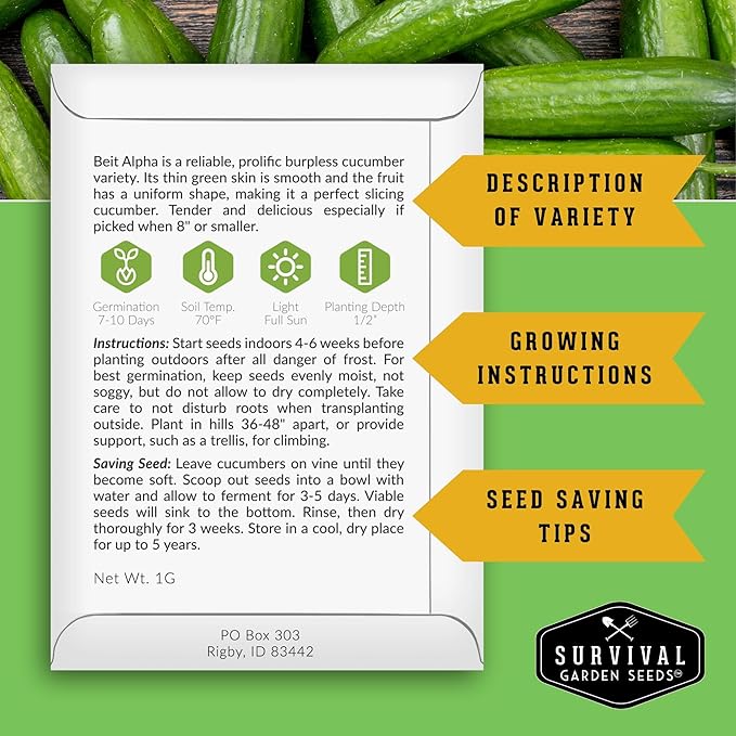 Beit Alpha Cucumber Seeds for Planting | Crisp Burpless Variety with Smooth Skin – Heirloom, Non‑GMO – Survival Garden Seeds (3 Packs)