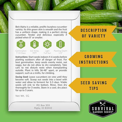 Beit Alpha Cucumber Seeds for Planting | Crisp Burpless Variety with Smooth Skin – Heirloom, Non‑GMO – Survival Garden Seeds (3 Packs)