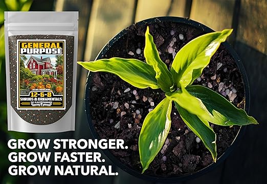 Fertilizer Commercial Grade | General Purpose 12-6-8 | 1 Pound | Custom Professional Mix Blend | Shrub, Tree & Ornamental | Fast Release 60 Day Feed, Macronutrient & Micronutrient Formula for Plants
