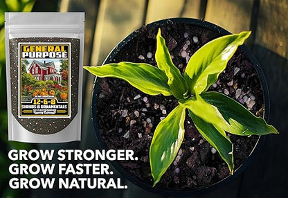 Fertilizer Commercial Grade | General Purpose 12-6-8 | 1 Pound | Custom Professional Mix Blend | Shrub, Tree & Ornamental | Fast Release 60 Day Feed, Macronutrient & Micronutrient Formula for Plants