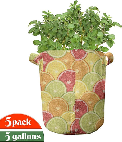 Ambesonne Colorful Grow Bags 5-Pack, Orange Lemon Fruits, Heavyduty Fabric Pots with Handles for Plants, Multicolor