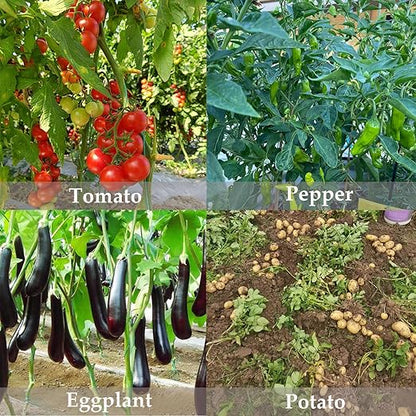 2lb Potash Fertilizer 0-0-60, Sulfate of Potash Indoor Plant Fertilizer, Potassium Fertilizer, Plant Food for Houseplants, Fruit, Flower, Tomato, Promote Large Flower Blooming & Fruit Growth