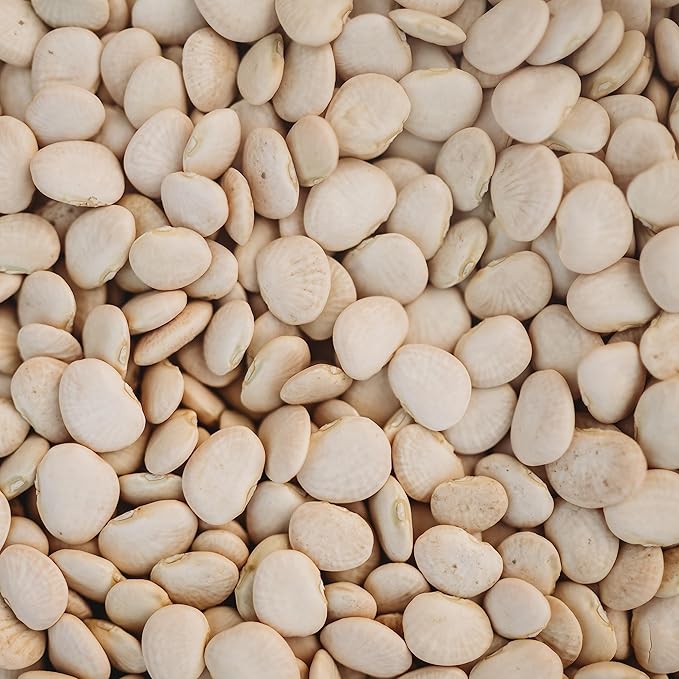 Henderson Bush Lima Bean - 50 Seeds - Heirloom White Butterbean Variety, USA-Grown, Non-GMO Baby Lima Bean Seeds for Planting Outdoors in The Home Garden, Thresh Seed Company