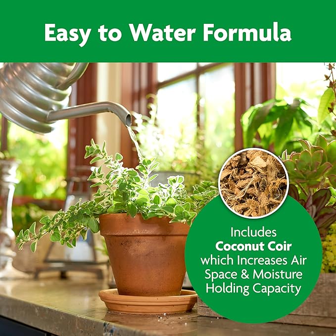 Miracle-Gro Indoor Potting Mix, Blended for a Variety of Houseplants, Feeds for up to 6 Months, 6 qt., 3-Pack