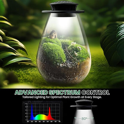 Glass Plant Terrarium with UFO LED Light, Large Terrarium for Venus Fly Trap Live Plant with LED Light & Ventilation, for Plants Ideal for Succulents,Home Office Desk Decor, 7.8" Tall